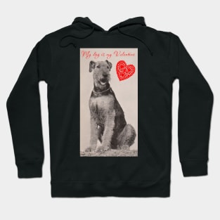 My Dog is my Valentine (Airedale) Hoodie